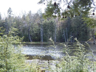 A serene pond with sparkling water