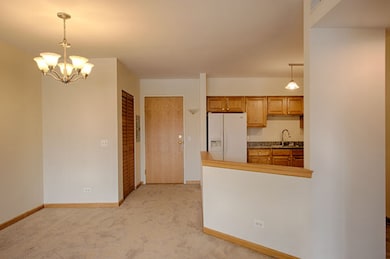 2919 N Harlem Ave unit 208, Chicago, IL 60707 - photo 3