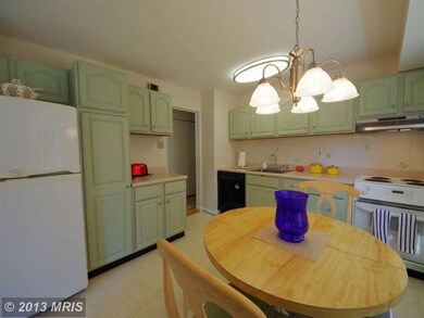 14235 Arctic Ave, Rockville, MD 20853 - photo 7