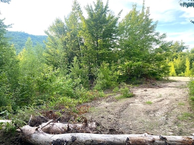 2,4,6 Willis Bean Rd, Eaton, NH 03832 - photo 3