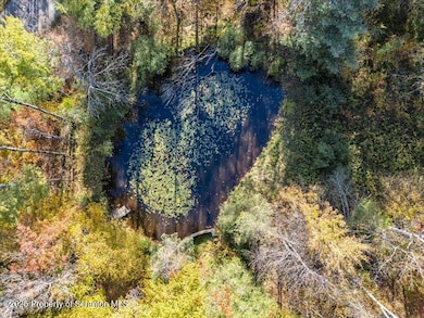 1573 Cork Hill Rd, Brackney, PA 18812 - photo 3