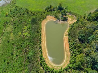 00 Boone Ln, Bee Branch, AR 72013 - photo 7