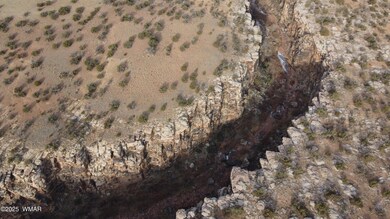 DJI_0091