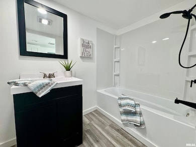 106 E Beeson St, Joy, IL 61260 - photo 7