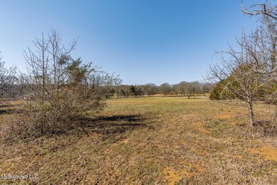 225538_22-snapsold-screen-commissary-cov