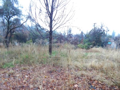 DSCN2972 (1)