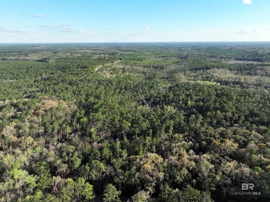 0 Dogwood Fork Rd unit 358700, Bay Minette, AL 36507 - photo 6