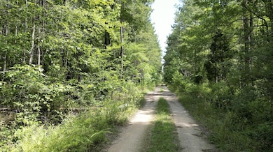 Dirt Road