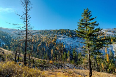 Nhn, Libby, MT 59923 - photo 4