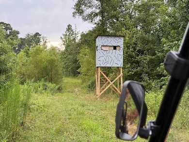 Highway 33, Crosby, MS 39633 - photo 5