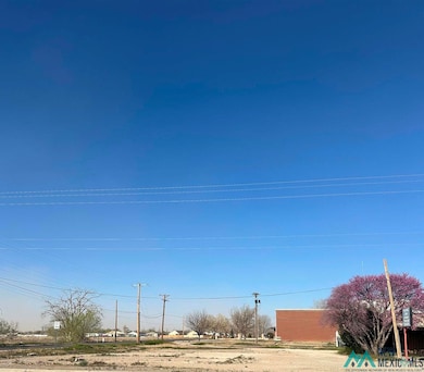 2698 S Main St, Roswell, NM 88203 - photo 2