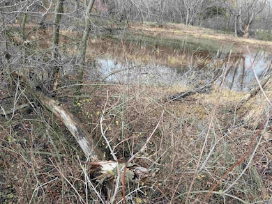 0000 S Stubbs Rd, Quenemo, KS 66528 - photo 3