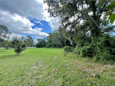 1199 N Hambletonian Dr, Hernando, FL 34442 - photo 3