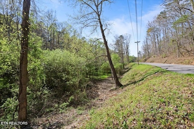 0 Rainbow View Rd, Lafolette, TN 37766 - photo 5