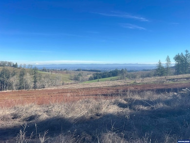 Lot 1B Firas Estates, Salem, OR 97304 - photo 2
