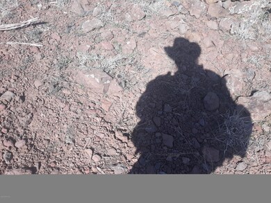 Lot 81 Juniperwood Ranch, Ash Fork, AZ 86320 - photo 6