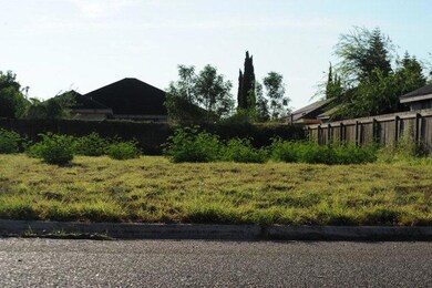 828 N 7 1 2 St, Alamo, TX 78516 - photo 2