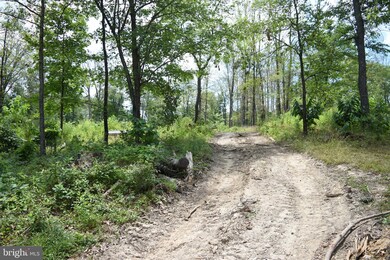 0 Oliver Ln, Great Cacapon, WV 25422 - photo 7