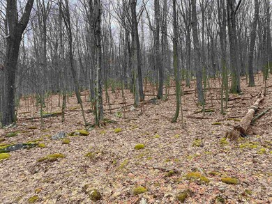 TBD Pond Lily Ln, Terra Alta, WV 26764 - photo 4