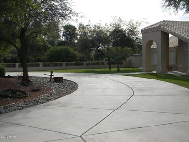Front yard