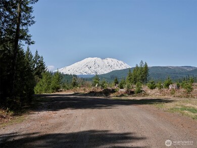 1 Loowit Ln, Cougar, WA 98616 - photo 4