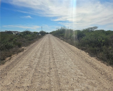 1431 County Rd, Alice, TX 78332 - photo 4