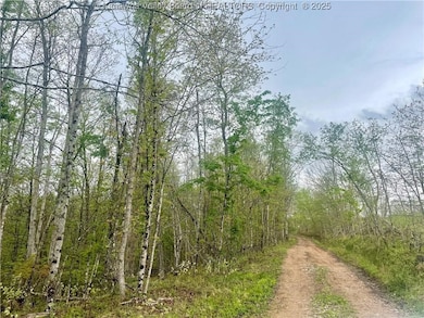 0 Siniaville Rd unit 281379, Ripley, WV 25271 - photo 5