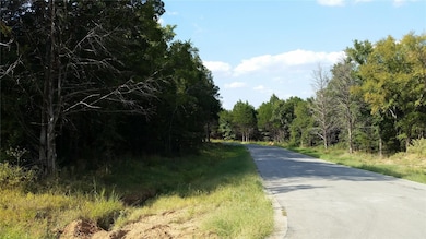 lot 16 Dublin Cir, Gordonville, TX 76245 - photo 3