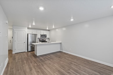 Kitchen with a peninsula, white cabinets, stainless steel appliances, dark wood-style floors, and recessed lighting