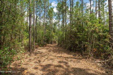 Herman_Ladner_Road_Lot_3-6