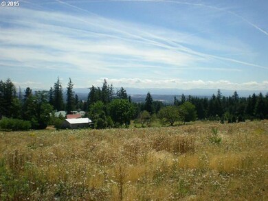 0 SW Petes Mountain Rd, West Linn, OR 97068 - photo 4