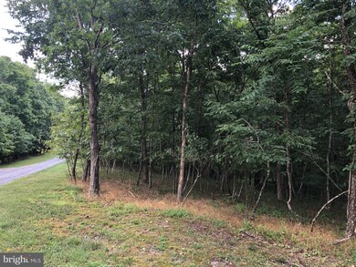 0 Foreback Rd unit WVMI111254, Keyser, WV 26726 - photo 4