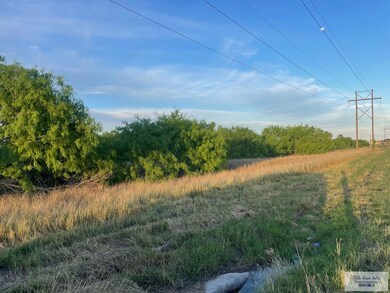 0 Fm 1732 unit 29751290, Olmito, TX 78520 - photo 7