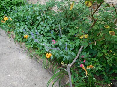 1802 Woodhead St, Houston, TX 77019 - photo 3