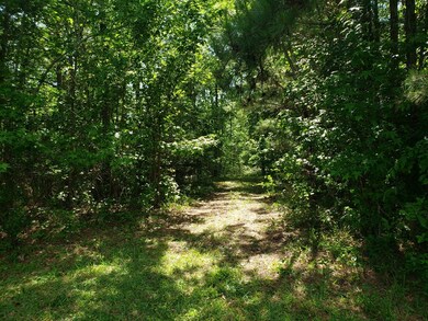 Trails trhough property