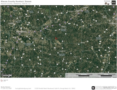 00 Coon Hop Rd, Hardaway, AL 36039 - photo 2