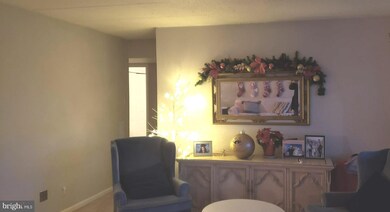 2655 Redcoat Dr unit 111, Alexandria, VA 22303 - photo 6