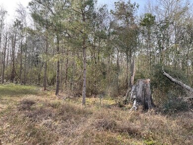 000 Mount Herman Rd, Osyka, MS 39657 - photo 5