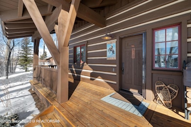 Winter Front Entry