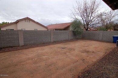 5 Back Yard