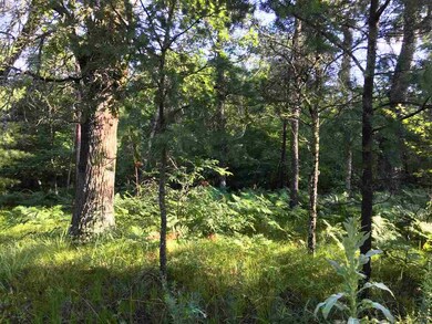 L41 Cranberry Creek Rd, Cutler, WI 54618 - photo 2