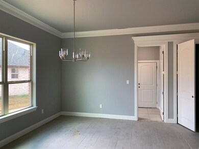 311 Jacinth Ln, Granbury, TX 76049 - photo 4