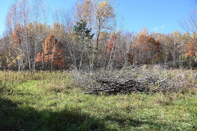 27727 Oberon Loop, Moran Township, MN 56438 - photo 6