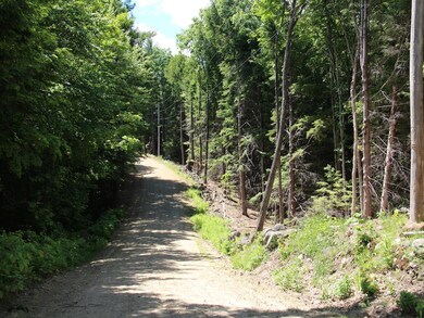 0 Snow Rd unit Lot 3 4498756, Hill, NH 03243 - photo 6