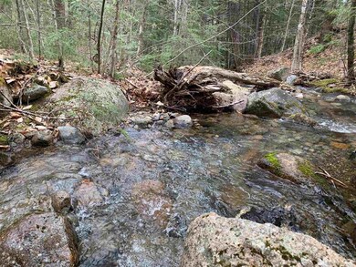 00 Timberline Dirve Dr, Bartlett, NH 03812 - photo 4
