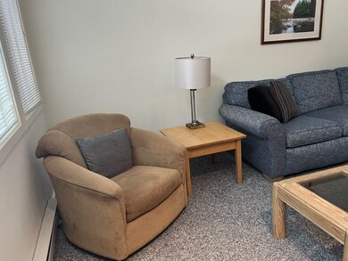 9 Mountain Sun Way unit 15D, Waterville Valley, NH 03215 - photo 7