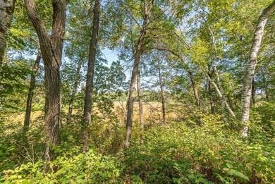 LOT C (8 of 29).jpg