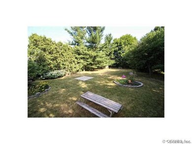 Yard.