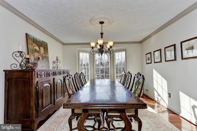 7401 Haven Ct, Highland, MD 20777 - photo 5