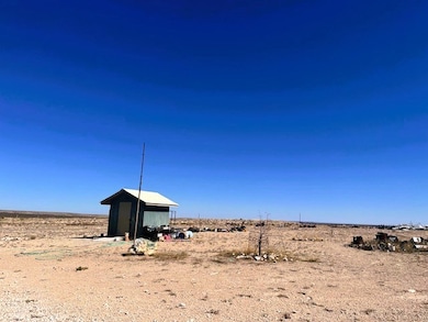 176 U S 67, Fort Stockton, TX 79735 - photo 4